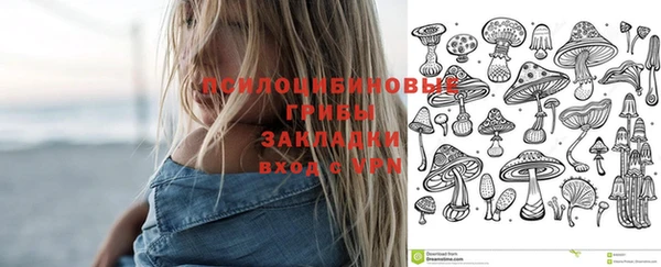 бошки Кулебаки